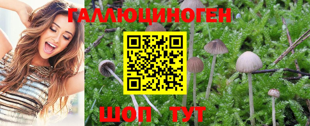 Серпухов  Галлюциногенные грибы Magic Shrooms  Вход с VPN  Галлюциногенные грибы Magic Shrooms 